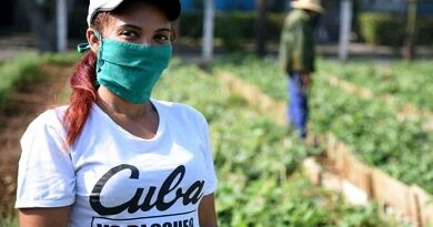 Las mujeres del campo