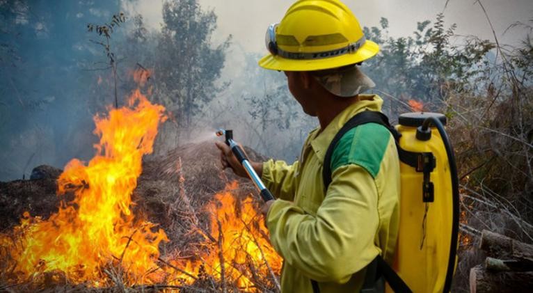 incendios forestales